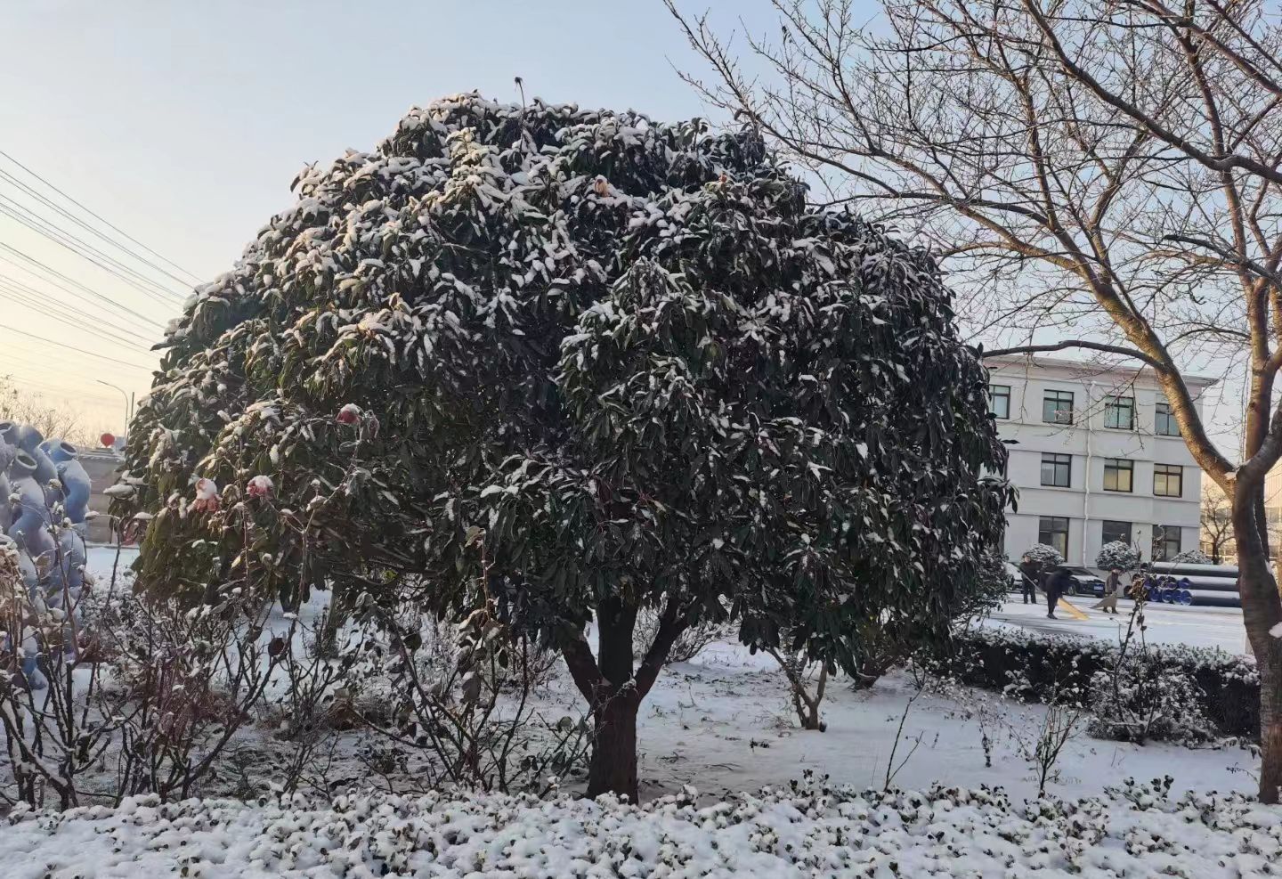 webwxgetmsgimg__&MsgID=3180638273794430470&skey=@crypt_4f01f960_ae984299d6bec4f2f81f222466c785a1&mmweb_appid=wx_webfilehelper